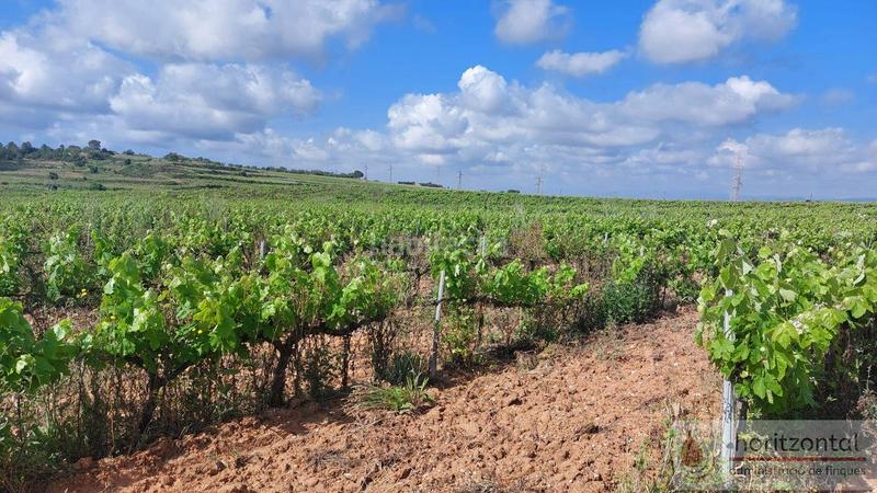 Foto da7171f2-998f-49f6-aa35-4977432f664a. Terreny residencial a Secuita (La)