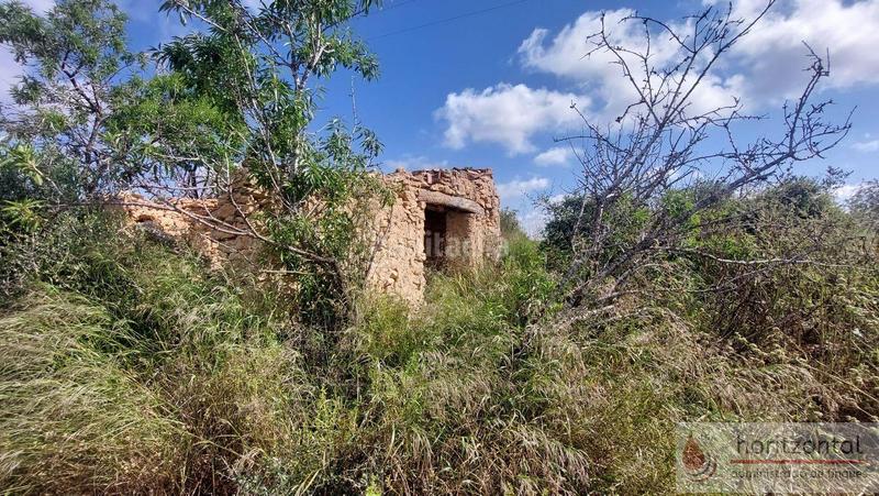 Foto f87a780b-dcd6-4e8d-8d04-b13a11fead69. Terreny residencial a Secuita (La)