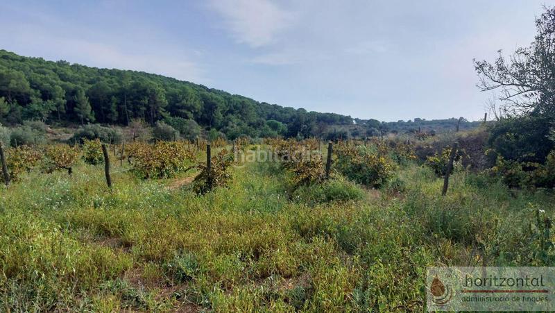 Foto 09b6d53f-e266-4ae4-9a7a-47c7a562c6a4. Terrain résidentiel dans major 0 dans Albinyana