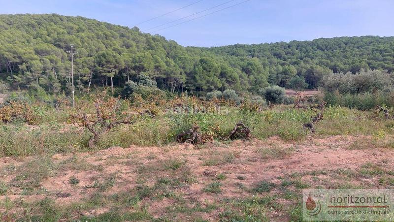 Foto 09e070a4-5e9e-4dac-a74e-f4b59bc6b6ef. Terrain résidentiel dans major 0 dans Albinyana