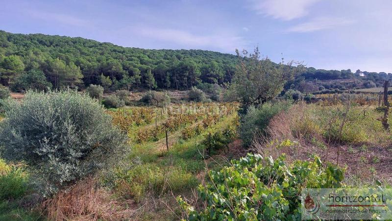 Foto 38e50342-1ec5-41fa-8819-294273402acd. Terrain résidentiel dans major 0 dans Albinyana