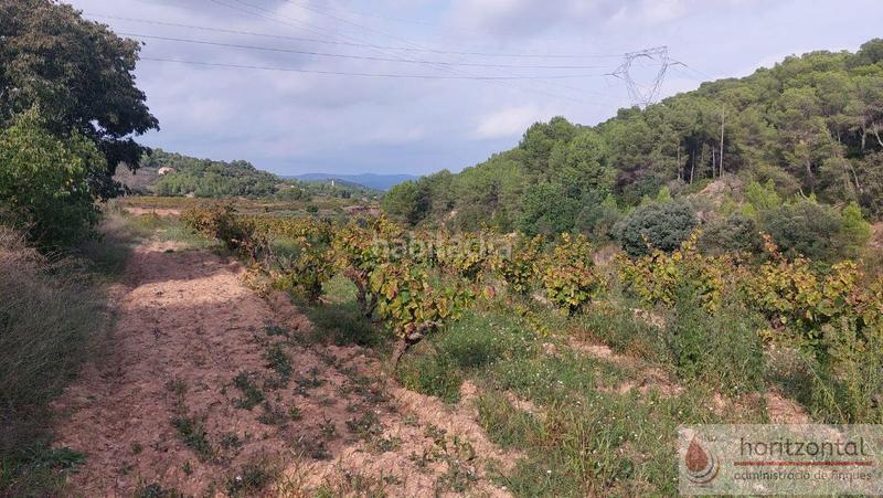 Foto 3eaea7b8-4f15-4014-ac13-f370afb1ebd2. Terrain résidentiel dans major 0 dans Albinyana