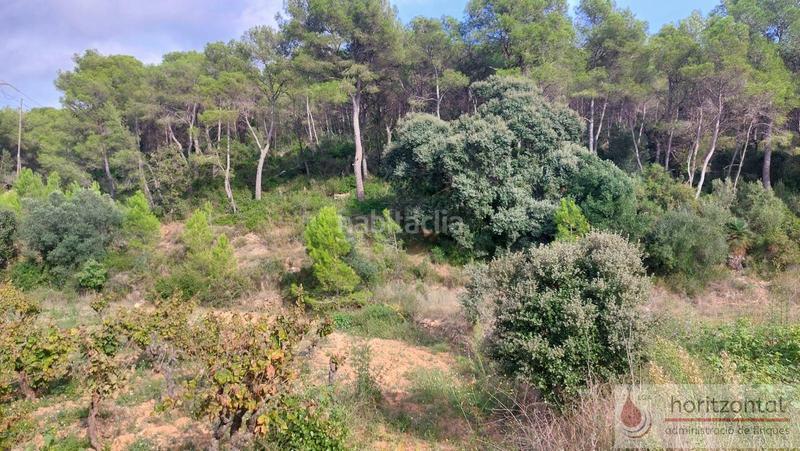 Foto 50c87921-4ebe-437a-b9ed-4fed12c0ae05. Terrain résidentiel dans major 0 dans Albinyana