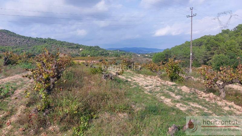 Foto 70d2cdbb-4556-44ae-b384-92efe8606d68. Terrain résidentiel dans major 0 dans Albinyana