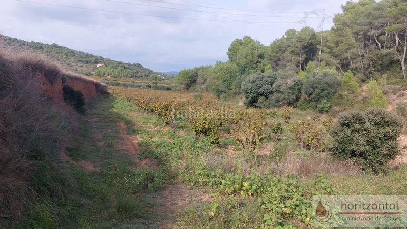 Foto 76cac224-a26d-43e7-8aef-93d21fe2b248. Terrain résidentiel dans major 0 dans Albinyana