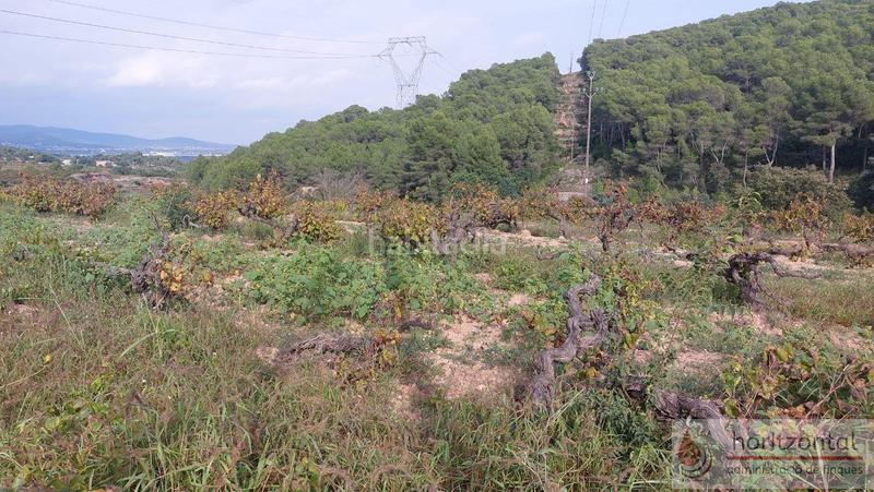 Foto 84476c68-c8d8-4846-a605-5254422d0b2a. Terrain résidentiel dans major 0 dans Albinyana