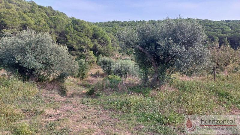 Foto a16f2136-5e87-4e9f-a573-f8ab0ceacfc5. Terrain résidentiel dans major 0 dans Albinyana