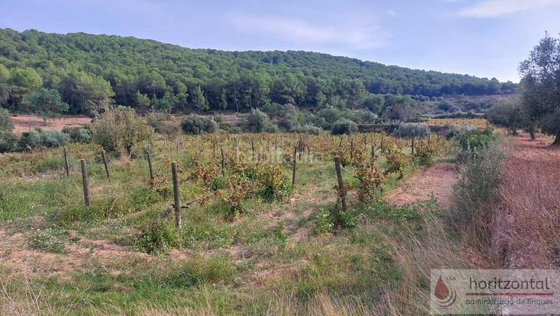 Foto baac6057-57e4-447c-b87a-6b41abdc7cb5. Terrain résidentiel dans major 0 dans Albinyana