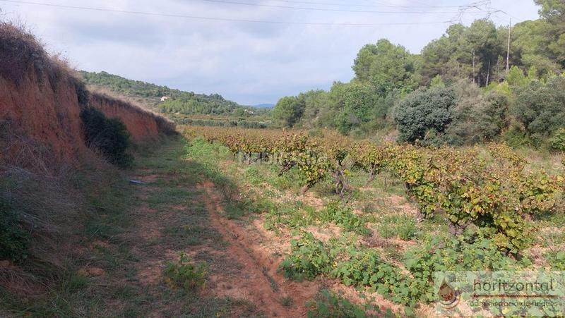 Foto d4979090-d67f-494c-a6f0-1b08892d2a3e. Terrain résidentiel dans major 0 dans Albinyana