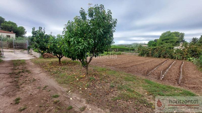 Foto fd9f93c5-aa30-4562-a736-d14a63e33a01. Terreno residenziale in dels molins 3 in Santa Oliva