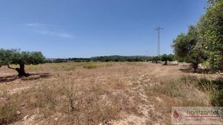 Wohngrundstück in El sot nou 0. Coma  rugaterreno