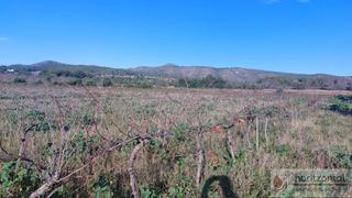 Terreny residencial a Bonastre. Bonastreterreno