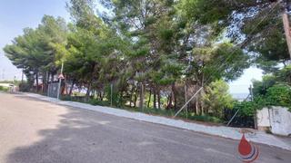 Residential Plot in Els Masos - Els Garrofers. Coma  rugaterreno