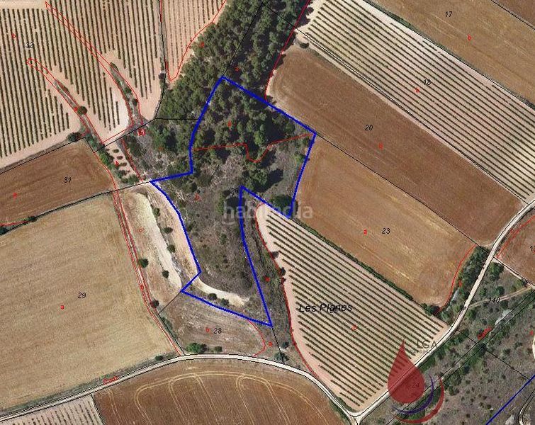 Foto 07494a08-405f-4ed7-898a-48112b034408. Terreny residencial a les planes a Rocafort de Queralt
