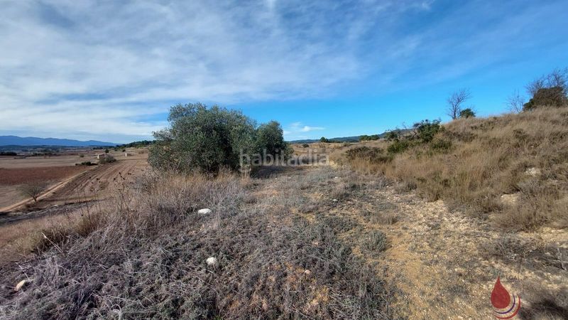 Foto 72bef9d6-3b20-460a-8f05-91d8b2ad5abf. Terreny residencial a les planes a Rocafort de Queralt