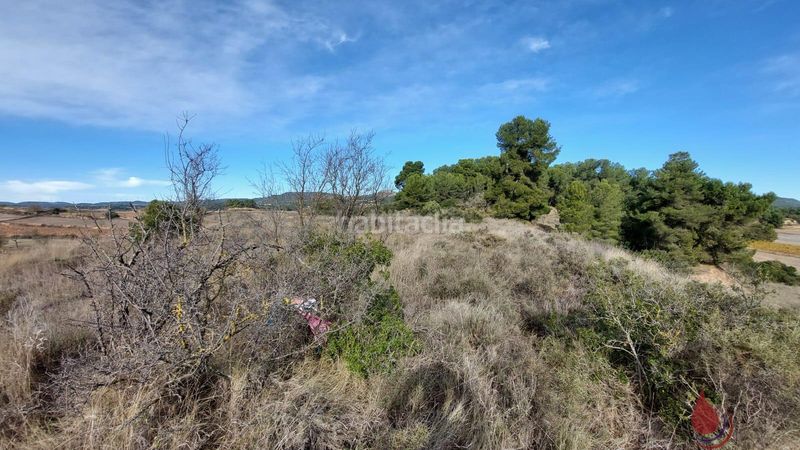 Foto e9c83732-f032-4f90-a682-0d6e72f41c6c. Terreny residencial a les planes a Rocafort de Queralt