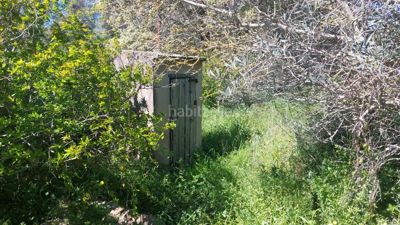 Foto ab589d5f-003e-4a84-bd9a-1cbbae9e28ab. Finca rústica a Albinyana