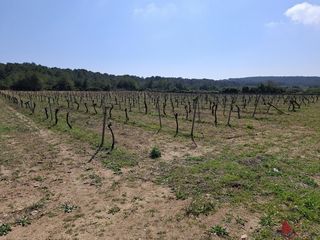 Terrain résidentiel à Els Masos - Els Garrofers. El vendrellterreno