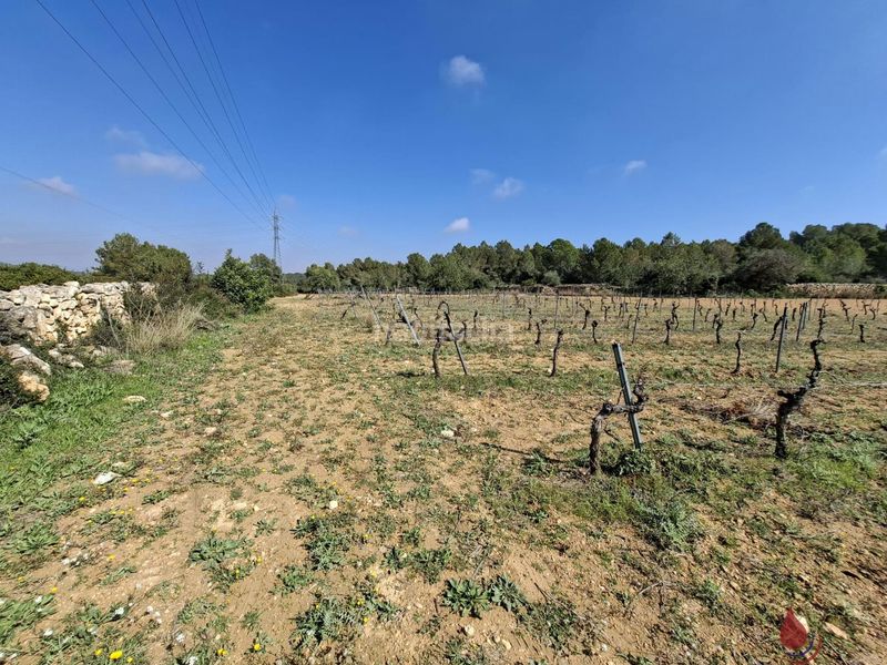 Foto fcaf1a97-aa60-48f3-9f0f-66ce11d6e49f. Terreny residencial a Els Masos - Els Garrofers Coma-ruga