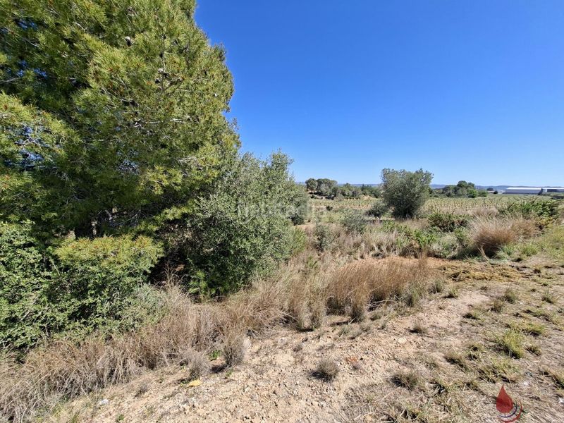 Foto 471b2827-598c-4ad4-9747-d2e5bcf24a57. Terreny residencial a Centre Vendrell (El)