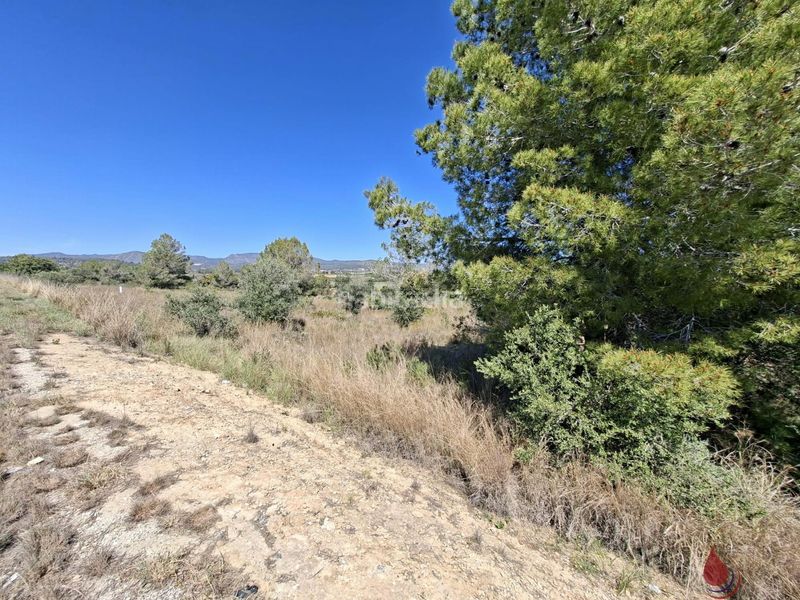 Foto 760e69cb-0c31-422c-a7ff-581f0364be4a. Terreny residencial a Centre Vendrell (El)