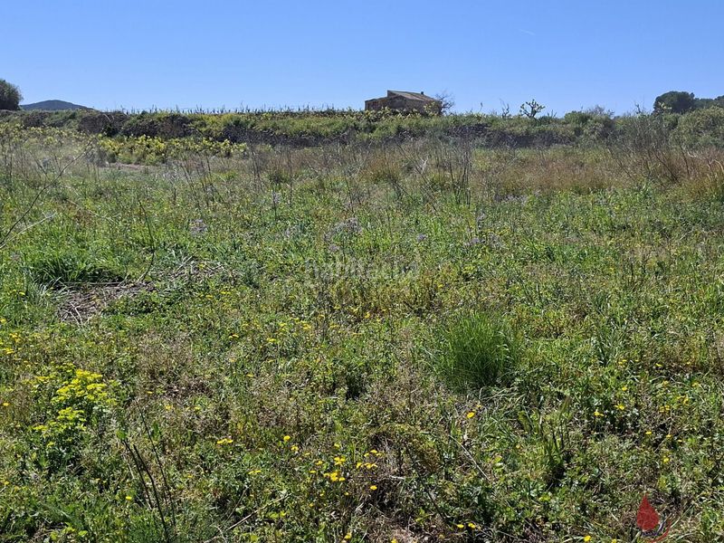 Foto 79acf40b-5732-4b25-a20f-4b9427d164b1. Terreny residencial a Centre Vendrell (El)