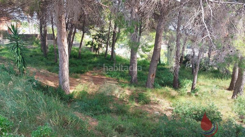 Foto 51213dc9-7412-4a5c-a168-746d529622f9. Terreny residencial a Els Masos - Els Garrofers Coma-ruga