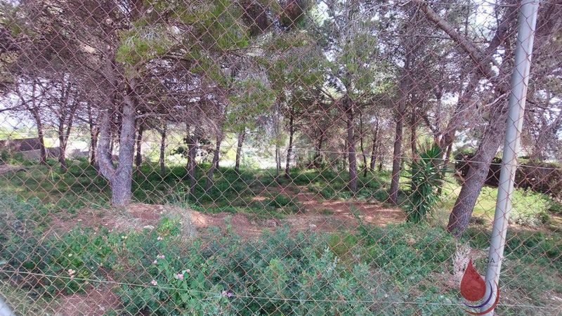 Foto 8afce420-bc1f-4508-8d50-08b9c0877dc5. Terreny residencial a Els Masos - Els Garrofers Coma-ruga