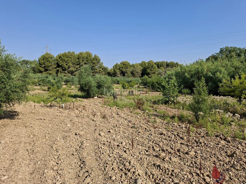 Foto 238a979d-3d6e-45da-b3b1-4769522f39c5. Terreny residencial a Arboç (L´)