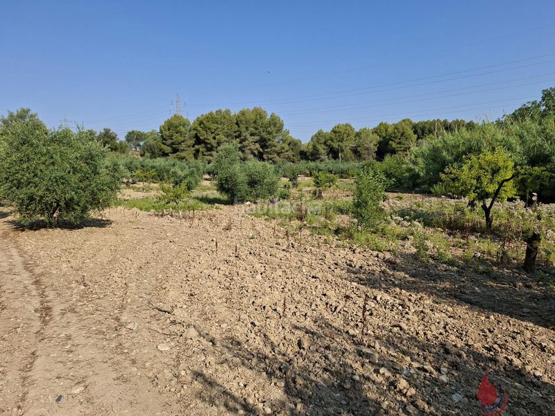 Foto 268b6c7d-8827-4ec4-bdb8-dc04b66b230d. Terreny residencial a Arboç (L´)