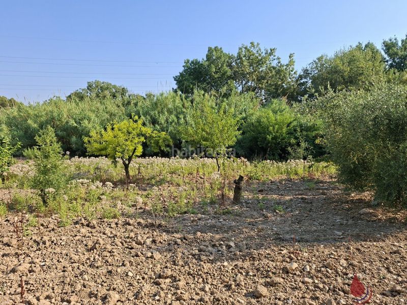Foto 47bdc44e-ac32-4f0f-b35b-1b397865aaac. Terreny residencial a Arboç (L´)