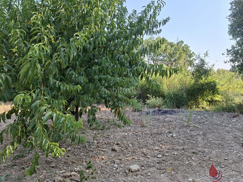 Foto 7dc05a16-33e8-4124-8d2e-3c58453d2bad. Terreny residencial a Arboç (L´)