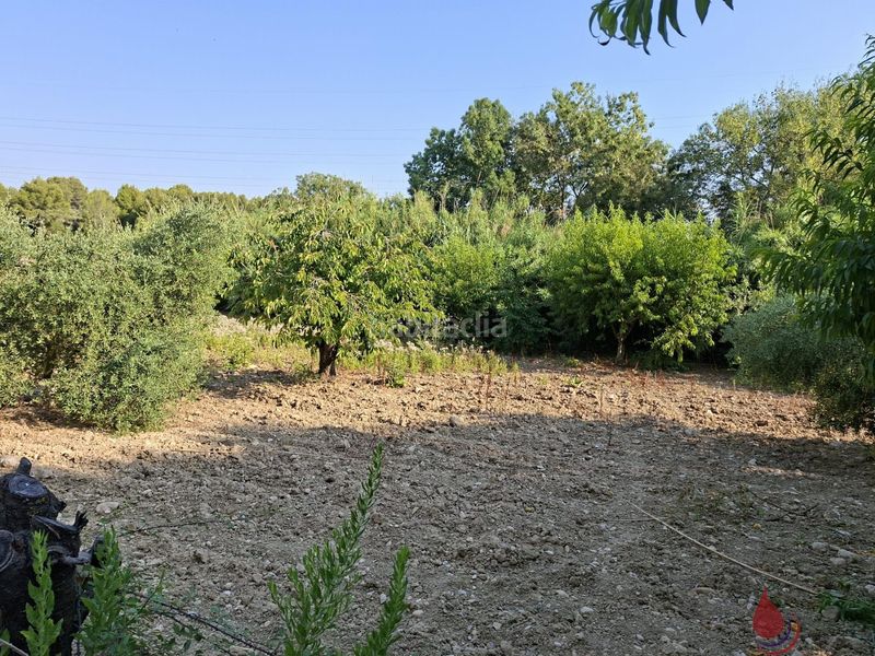 Foto e1bf4dd8-e52f-4158-aed9-684fe54a3e0e. Terreny residencial a Arboç (L´)