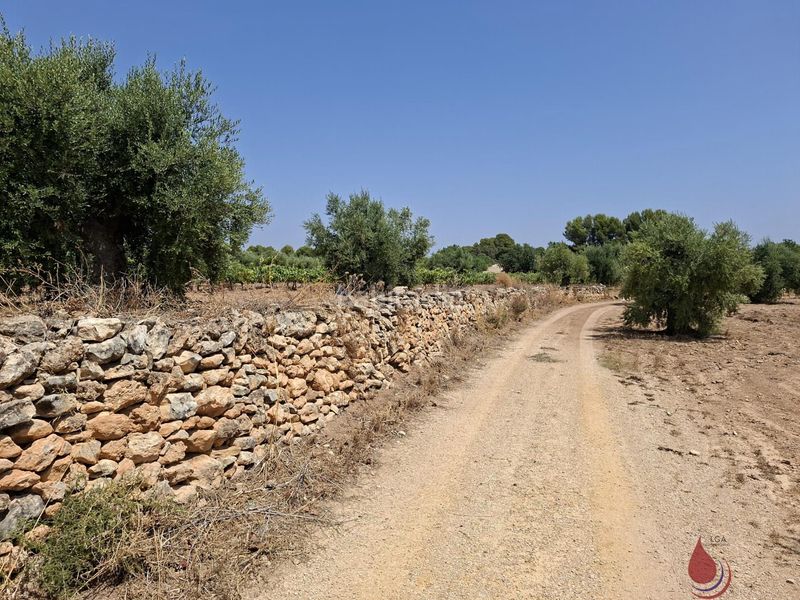 Foto 5a7c4973-a45b-4c82-899c-59fdbe1b6593. Terreny residencial a cami de mar a El Tancat-Mas d´en Gual Vendrell (El)