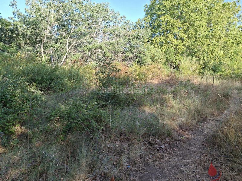 Foto e3681a41-bd17-443f-ad70-a0ebe790ce33. Terreny residencial a font junque a Torrelles de Foix