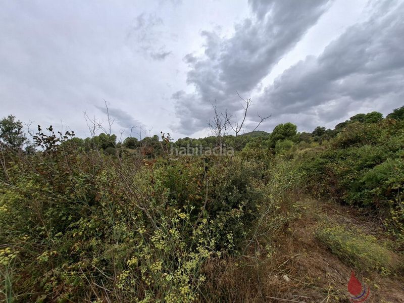 Foto a57a66d1-9f69-470c-b3bf-84cbc7fc257f. Terreny residencial a carpis a Cabra del Camp