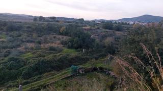 Rural plot in Bonastre. Terreno rústico situado en bonastre en producción.