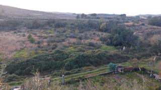 Rural plot in Bonastre. Terreno rústico situado en bonastre en producción.