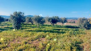 Rural plot in Bonastre
