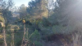 Rural plot in Bonastre