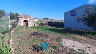 Finca rstica a Bellvei. Terreno agricola con casita en bellvei