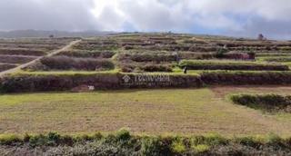 Propriété  Icod del alto. Terrenos en venta en los realejos