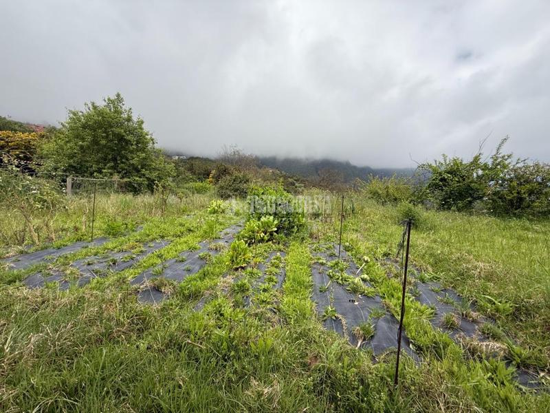 Foto 5ac19d60-eab3-4fc2-ba86-887e8fc1821d. Casa amb aparcament a Palo Blanco Realejos (Los)