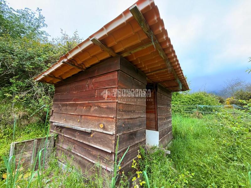 Foto b7c956aa-ef7c-475a-bea6-c53f67a12803. Casa amb aparcament a Palo Blanco Realejos (Los)