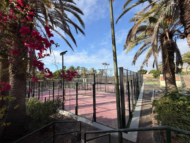 Foto 7911e2d3-b2e1-4002-afb3-b631c559a412. Appartement avec piscine dans Longuera - Toscal Realejos (Los)