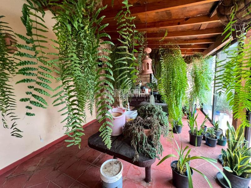 Foto 996e2fdd-9af9-435a-95b4-3fa4fe1ce26c. Casa  en venta en los realejos en Palo Blanco Realejos (Los)