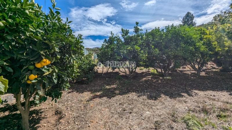 Foto 2f5278cc-2771-4e04-a48b-1e8e2345e191. Maison avec parking dans Los Realejos pueblo Realejos (Los)