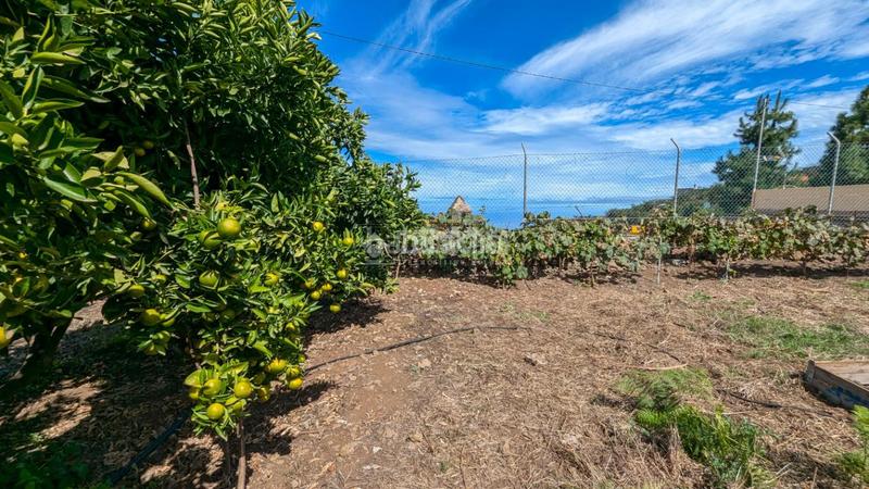 Foto 70635fec-7ae7-4a51-937c-c1d954535c1d. Maison avec parking dans Los Realejos pueblo Realejos (Los)