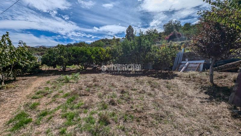 Foto 94a39b5a-8c22-4300-83ab-9172df6ca42a. Maison avec parking dans Los Realejos pueblo Realejos (Los)