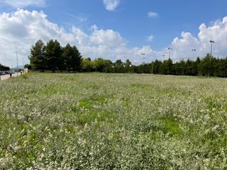 Residential Plot in Barri la serra 181
